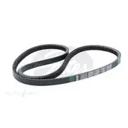Gates Drive Belt Heavy Duty - TR30770