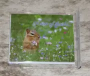 LEANIN TREE A Note of Thanks~Chipmunk~#35667~Pack of 8 Notecards~Colorful Inside
