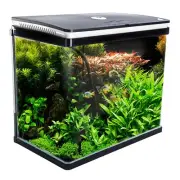 Dynamic Power 52L Aquarium Curved Glass LED Fish Tank