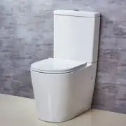 SNN Rimless Dual Flush Back to Wall Faced Toilet Soft Close