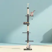 i.Pet 290cm Cat Tree Scratching Post For Large Cat Scratcher Hammock Tower House - Grey