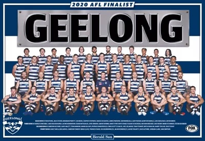 Geelong cats team poster, AFL football,premiers dogs,crows ,swans,books,blues 1