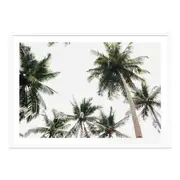 [James Lane] Tropical Sky Framed Print - 120cm x 86cm