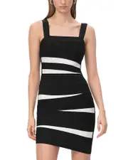 Herve Leger The Eve Dress