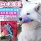 狗狗嘴套寵物用品亂吃防叫防咬口罩止吠小大型犬 黛尼時尚精品