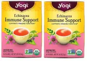 YOGI TEA Echinacea Immune Support - 16 Tea Bags ( 2 Pack )