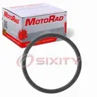 MotoRad Coolant Thermostat Seal for 1974-1981 Volkswagen Dasher Engine wt