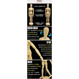 12吋關節可動木頭人D057-04關節可活動式木人工具人體模特32CM素描木製人偶32公分小木偶繪畫寫真動漫畫美術用品