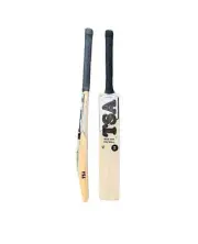 TSA Blaze 1000 Junior English Willow Cricket Bat (Grade 2)