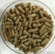 Polypodium Leucotomos 20:1 with Green Tea Pine Bark Aloe Vera Pomegranate