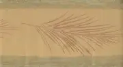MODERN PINE LEAVES TEXTURED WALLPAPER BORDER
