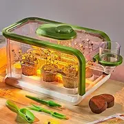 Mostop Kids Plant Growing Kit, Kids Gardening Greenhouse Growing Kit with Drip Irrigation and Grow Lights, Science STEM Toys Terrarium Kit for Boys Girls 3 4 5 6 7 8 Year Old, Kids Flower Growing Set
