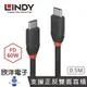 ※ 欣洋電子 ※ LINDY林帝 BLACK系列USB 3.2 GEN 2X2 TYPE-C 公 TO 公傳輸線 0.5M (36905_A) 電子材料