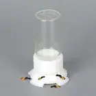 Liquid Micro Feeder 5/10/20/30/40ml - Ant Feeding - Sugar Water Water Bowl