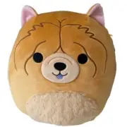 Original Squishmallows Sandro The Chow Chow Dog 11" Plush New w/ Tag Ultra Rare