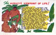 The Money's Viewpoint Of Life! Postcard 3.5"x5.5"