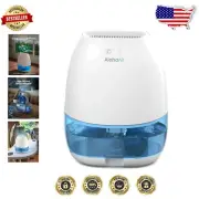 34 oz Dehumidifier for Home with Electrical Safety Features and Colorful Light