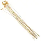 20 Pcs Aromatherapy Rattan Diffuser Oil Flower Sticks Office Miss Essential