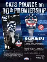 Geelong Cats 2022 AFL Premiers House Key Blank - LW4 -Collectable - IN STOCK