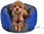 Basics Water-Resistant Pet Bed for Small Dogs - Oval, Royal Blue, 48Cm