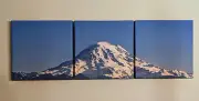Mt Rainer Washington State Panel Canvas Print