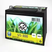Gravely Pro-Turn 260 Zero Turn Radius U1 Lawn MowerReplacement Battery