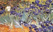 Art Irises Van Gogh Mural Ceramic Bath Backsplash Tile #904