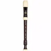 AULOS Symphony Soprano Recorder 506B(G) German Fingering w/ Tracking NEW