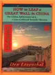 How to Leap a Great Wall in China ― The China Adventures of a Cross-cultural Trouble-shooter