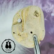 HOLEY HAG STONE NATURAL SURF TUMBLED BEACH ROCK WISHING GOOD LUCK FAIRY #1609