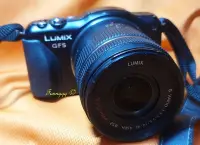在飛比找Yahoo!奇摩拍賣優惠-Panasonic Lumix DMC-GF5 微單眼 相機