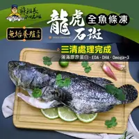 在飛比找momo購物網優惠-【蘇班長安心石斑】龍虎石斑鮮魚條凍700g 3入組 歐盟食安