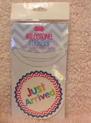 NEW Mud Pie Baby Girl Milestone Outfit Stickers