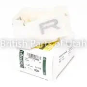 Range Rover P38 Hood Decal Sticker Lettering SILVER Genuine OEM 1995~2002