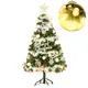 摩達客台製4尺/4呎(120cm)豪華型裝飾綠色聖誕樹/銀白大雪花白果球系全套飾品組+100燈LED (5.1折)