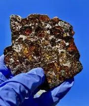meteorite: Admire Pallasite: Weigh 71.60 Grams! Absolutely Beautiful