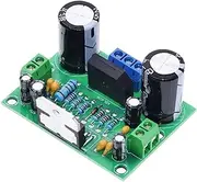FSNEODYV Audio Amplifier Board， TDA7293 Digital Audio Amplifier Board Mono 1.0 Channel AC 12-50V 100W 60x45x34mm
