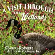A Visit Through the Wetlands by Sherry Roberts Paperback Book