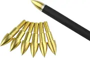 24 Pieces Archery Screw in Field Points 75 Grain Broadheads Screw-in Arrow Heads Arrow Tips for Target Practice Shooting