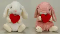 在飛比找Yahoo!奇摩拍賣優惠-預購日本製 STAR CHILD 垂耳兔 兔子 抱愛心 娃娃
