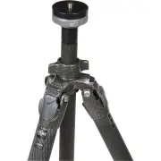 Gitzo Mountaineer Series 3 Carbon Fiber Tripod w/ Center Ball Head