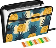 Quteprint 13 Pockets Expanding File Folder with Zipper Closure, Abstract Tropical Pineapple Accordion File Folder with Sticky Labels, Letter Size A4 Papers Expandable File Document Organizer