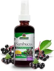 Nature's Answer Sambucus Black Elder Berry Extract Spray - 2 fl oz