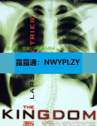 在飛比找露天拍賣優惠-nwyplzy精選DVD 歐美劇 醫院風雲Riget 199