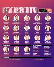 2022 ALL AUSTRALIAN TEAM POSTER,AFL FOOTBALL BULLDOGS TIGERS DEMONS Pies,CATS