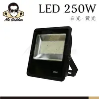 在飛比找蝦皮購物優惠-【購燈先生】附發票 大友照明 LED 250W 戶外投光燈 