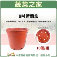 在飛比找momo購物網優惠-【蔬菜之家】8吋荷蘭盆、栽培盆-10個/組(紅盆 種植盆 花