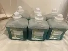 Case Of 6 Deb Antibac Foam Soap Handwash Refills Citrus Scent 1 Liter