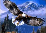 WOWDECOR DIY Painting by Numbers for Adults Children Girls, Eagle Bald Eagle Mountains Sky 40 x 50 cm Pre-Printed Canvas Oil Painting (Eagle, Without Frame)