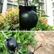 5Pcs Plant Rooting Device High Pressure Propagation Ball Root Grow Grafting Box M size